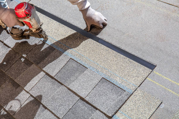 Best Storm Damage Roof Repair  in Palisade, CO